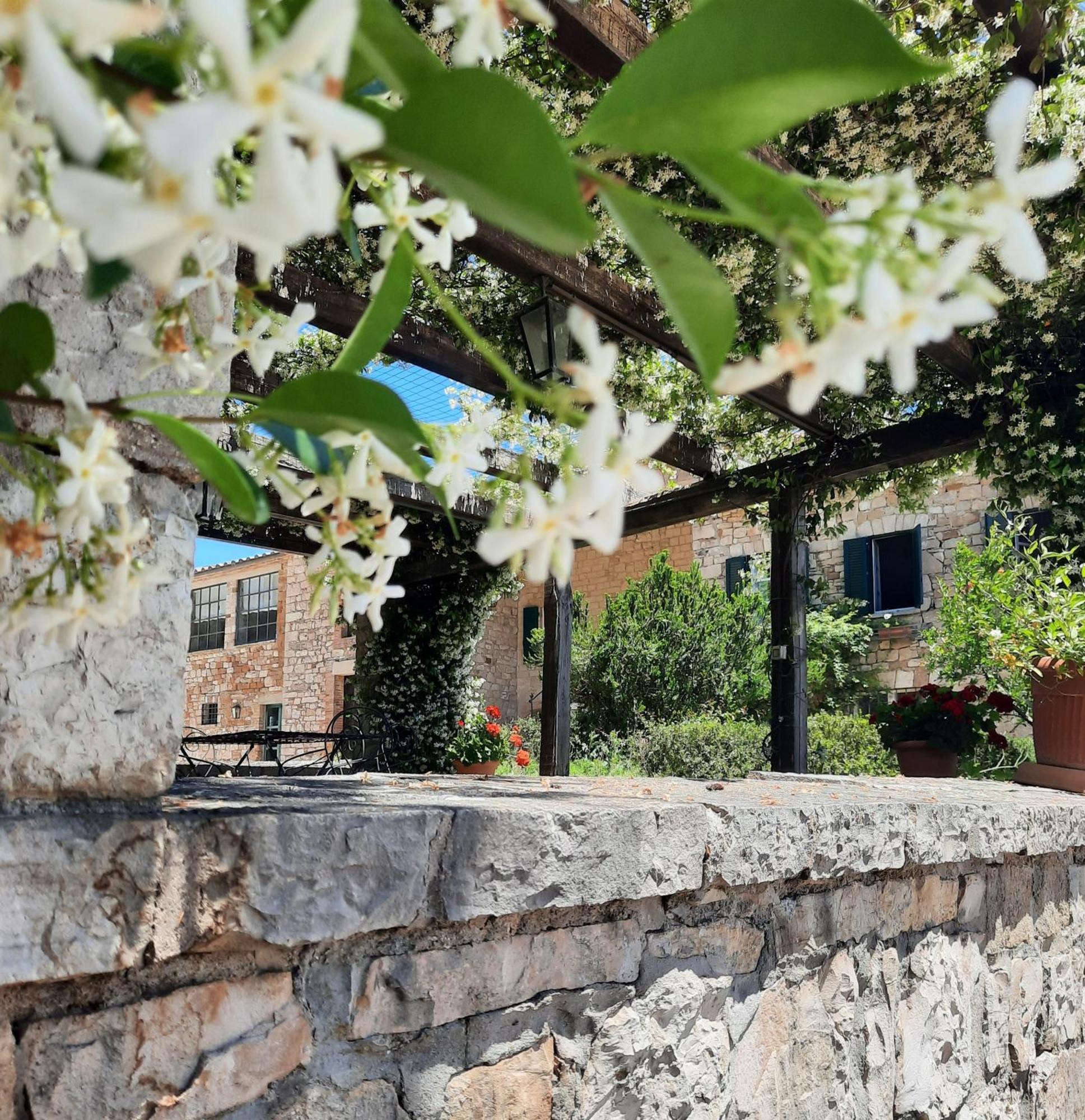 Agriturismo Tenuta Conti Faina Fratta Todina Exterior photo